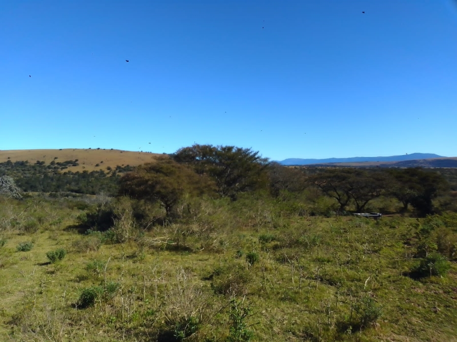 0 Bedroom Property for Sale in Stutterheim Rural Eastern Cape